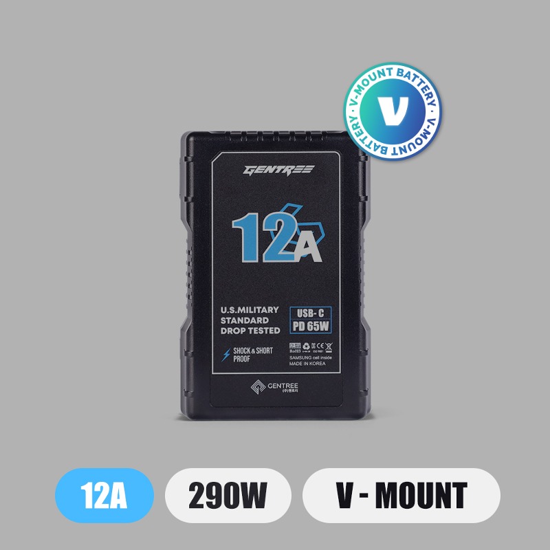 12A / 290W / V-MOUNT